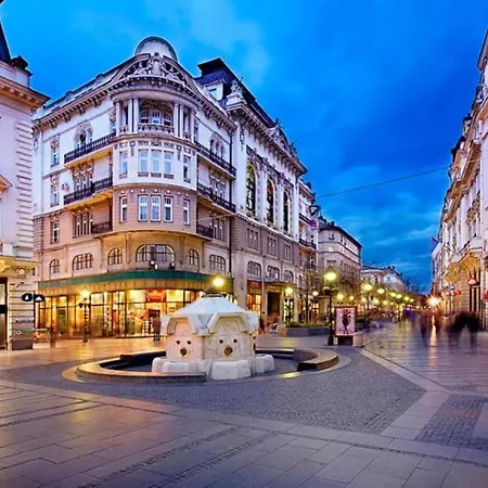 Stella Di Notte بيت شباب