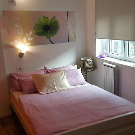 Hostel Stella Di Notte Belgrád