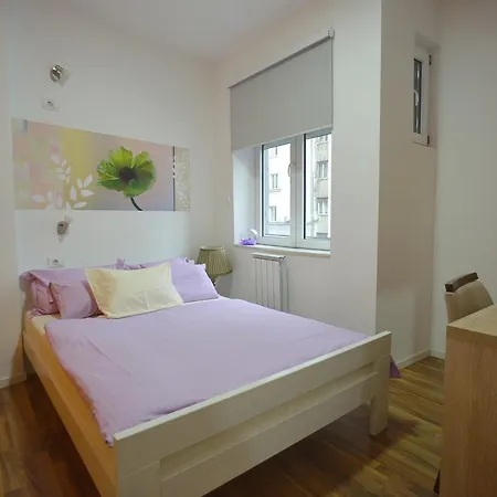 Stella Di Notte بلغراد