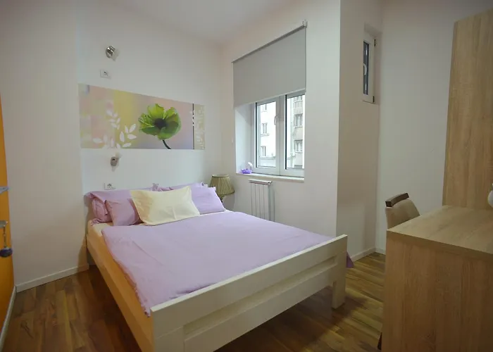 Stella Di Notte بلغراد