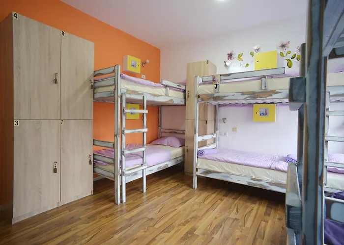 Stella Di Notte Belgrado